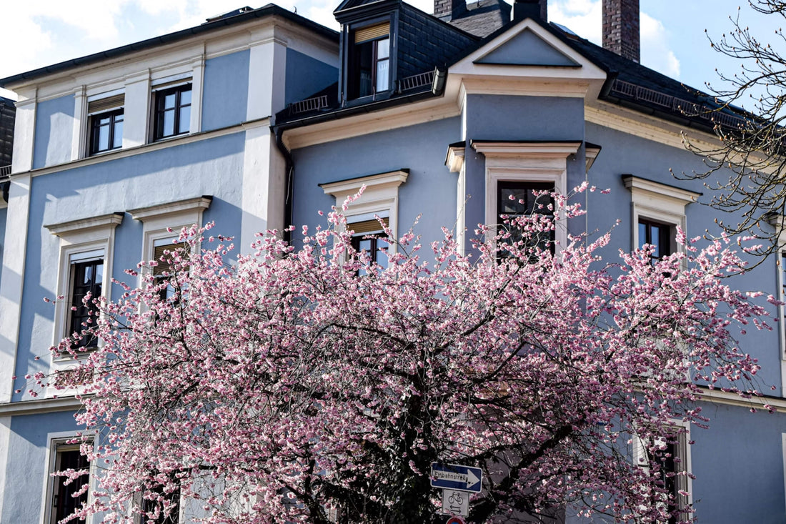 Common Exterior Home Painting Problems in Spring